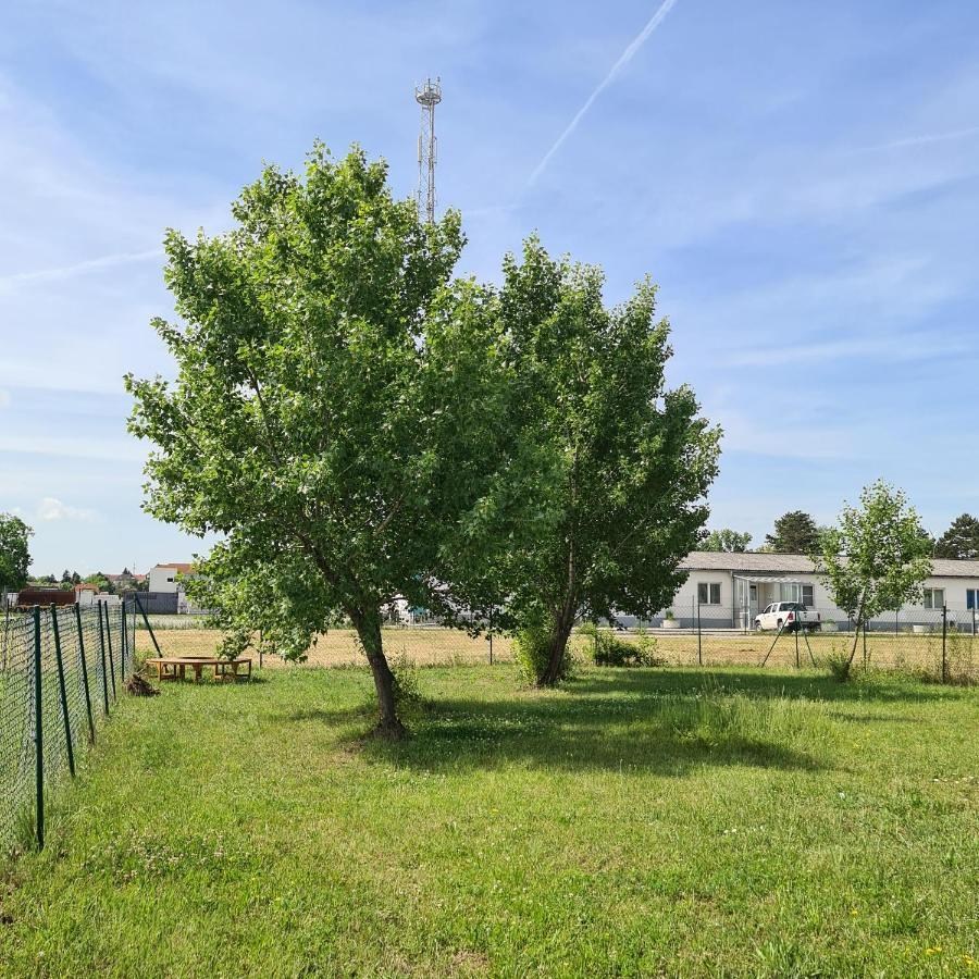 הוילה Neusiedl an der Zaya Tiny House מראה חיצוני תמונה